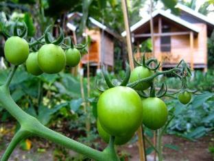 Harolds Ecolodge Dumaguete City Exterior foto